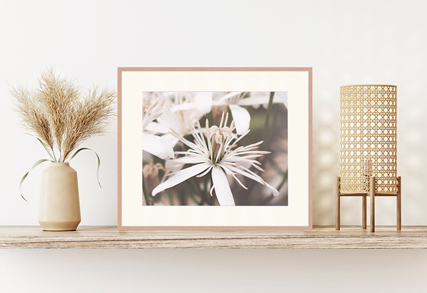 Liv Corday Summer Blossoming