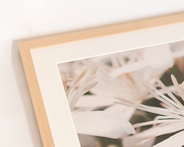 Liv Corday Summer Blossoming