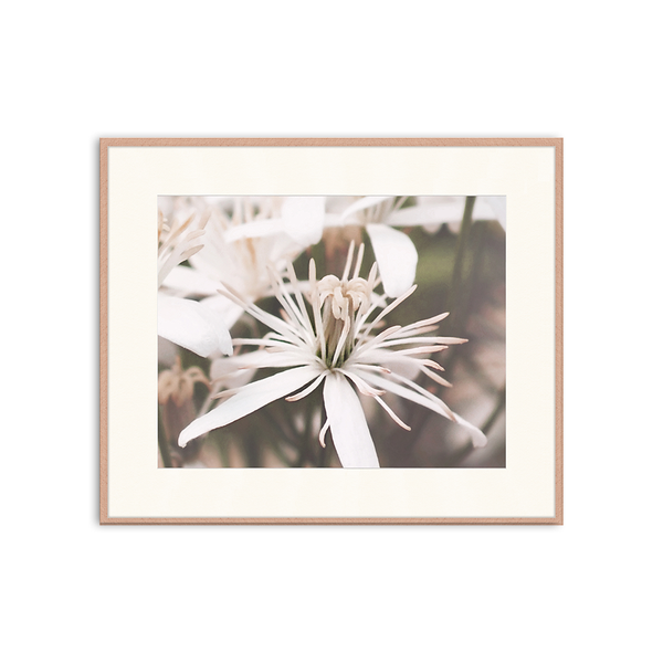 liv corday Summer Blossoming