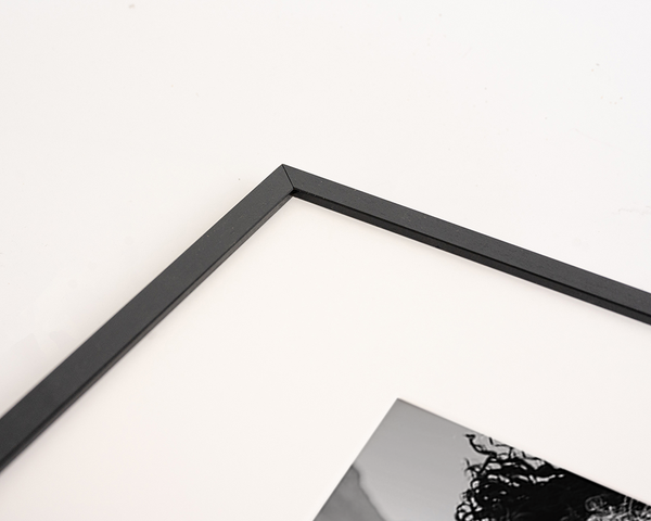 Liv Corday Surfing Friends