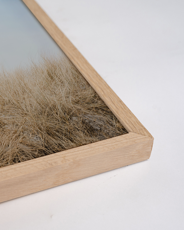 Liv Corday The Beach Chair