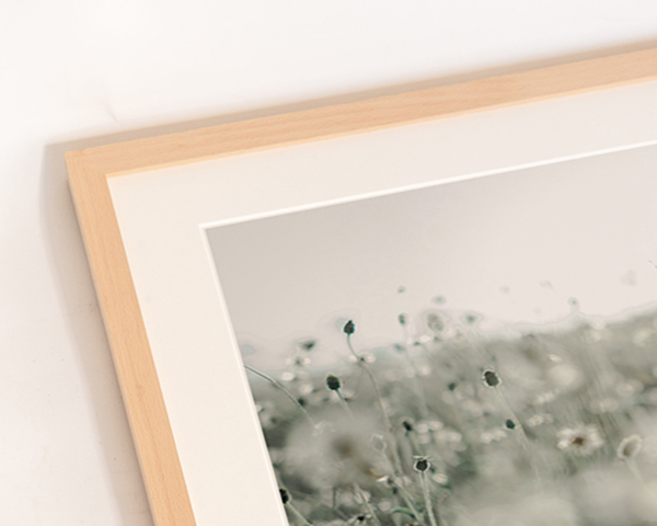 Liv Corday The Prairie Dry