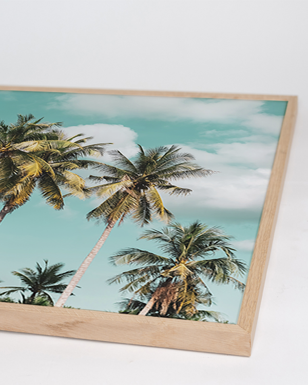 Liv Corday Tropical Palm