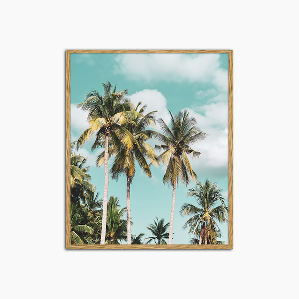 liv corday Tropical Palm