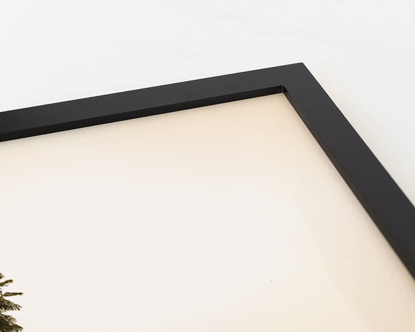 Liv Corday Tropical Tree