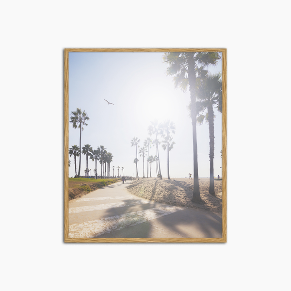 liv corday Venice beach