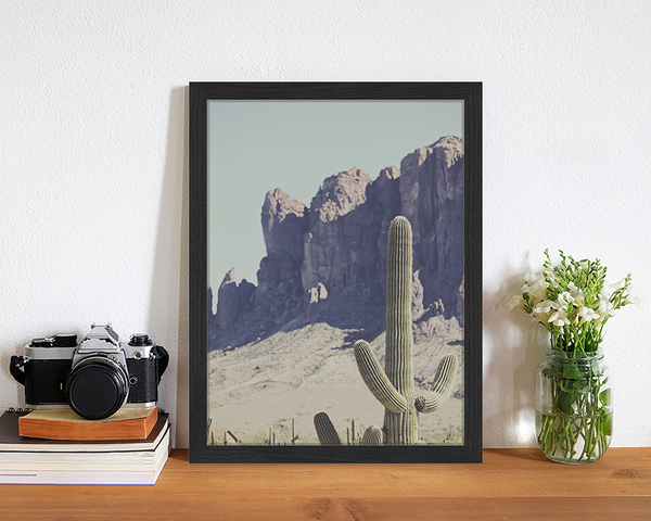 Liv Corday Vintage Cactus