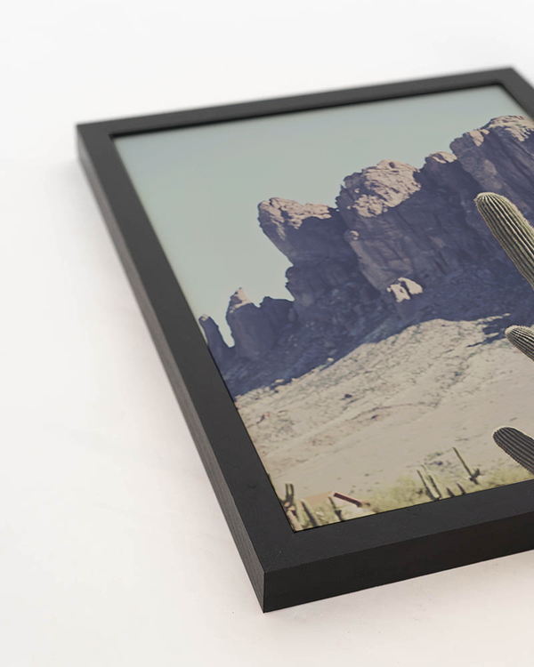 Liv Corday Vintage Cactus