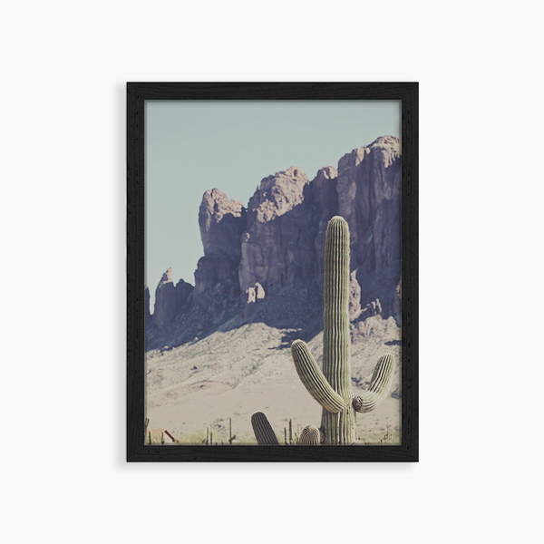 liv corday Vintage Cactus