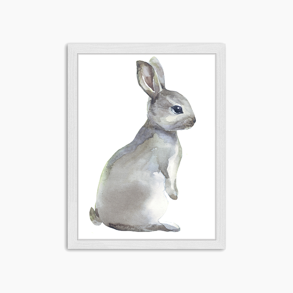 liv corday Watercolor Grey Rabbit