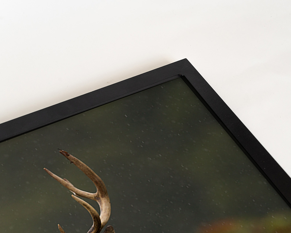 Liv Corday Young Red Deer Stag