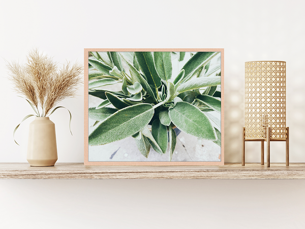 Liv Corday Zoom Into Green