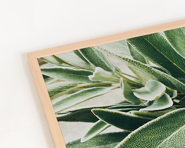 Liv Corday Zoom Into Green