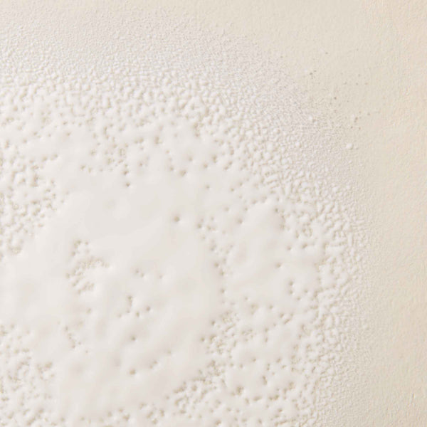 Living Proof Frizz ® Smooth Styling Spray