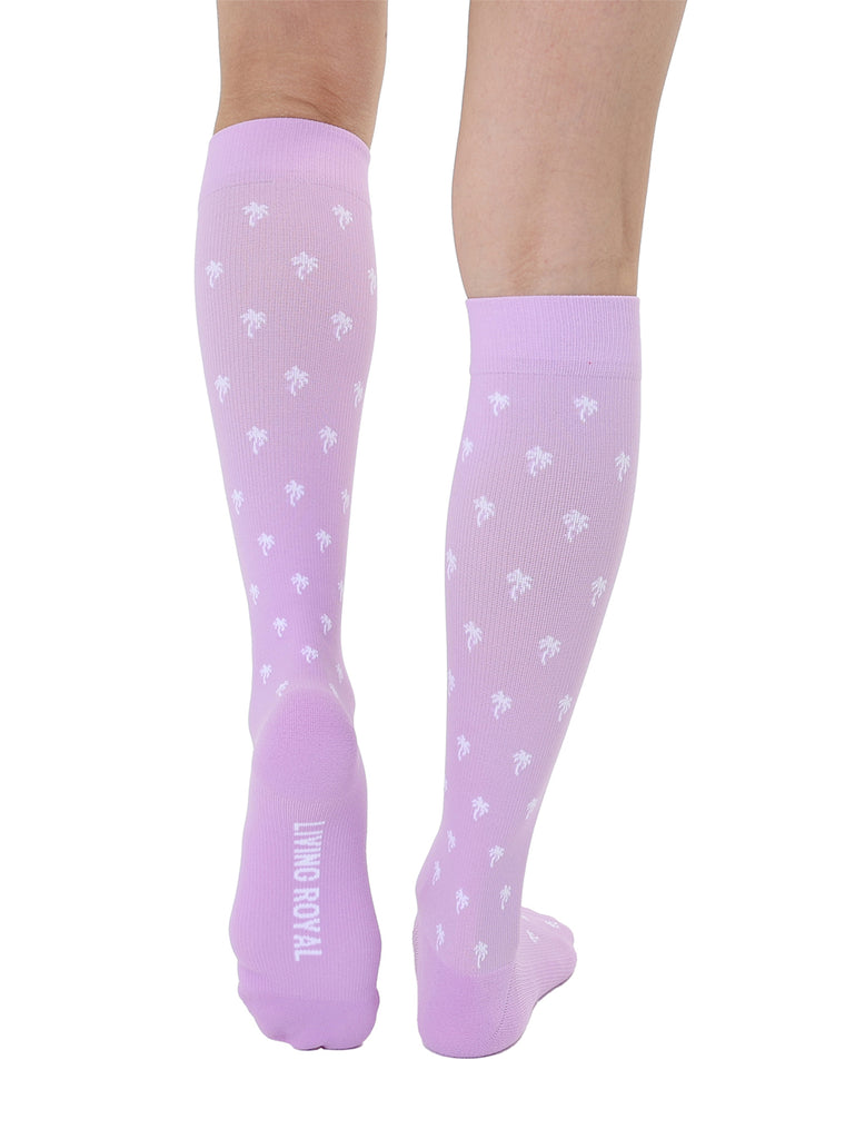 Living Royal Palm Tree Compression