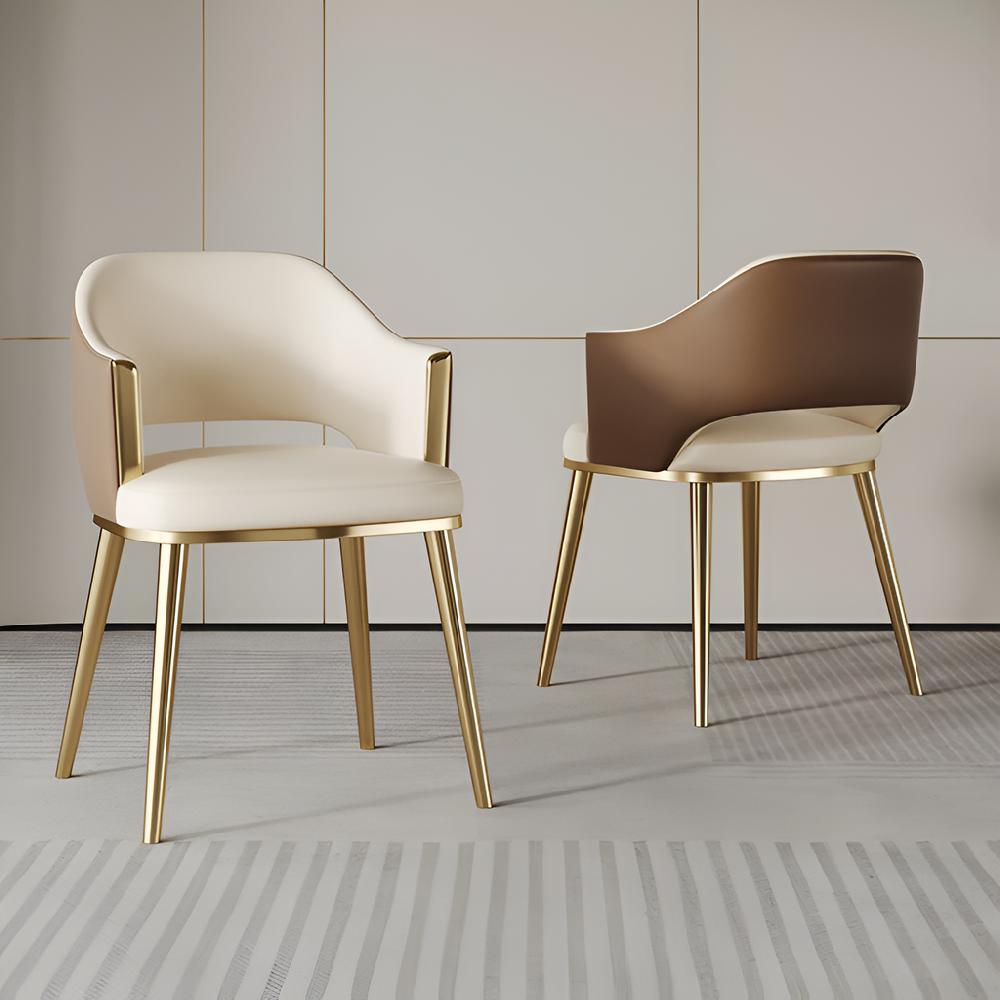 Lixra 4-Piece Luxurious Leather Dining Chair