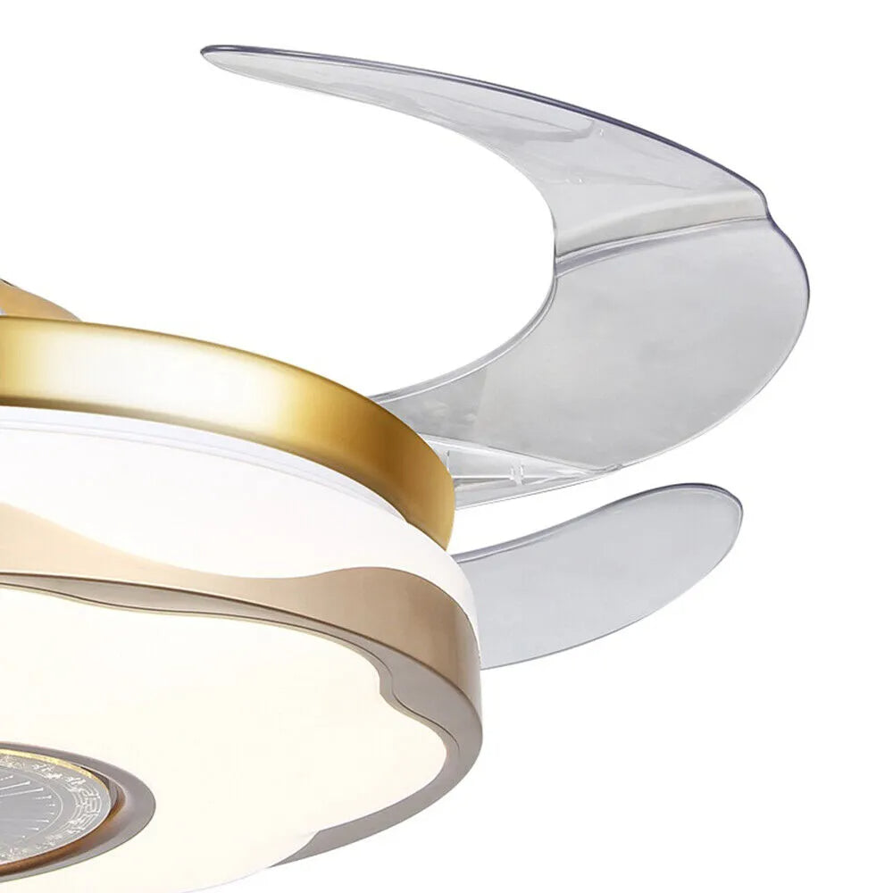 Lixra Elegant 42'' Ceiling Fan With Light