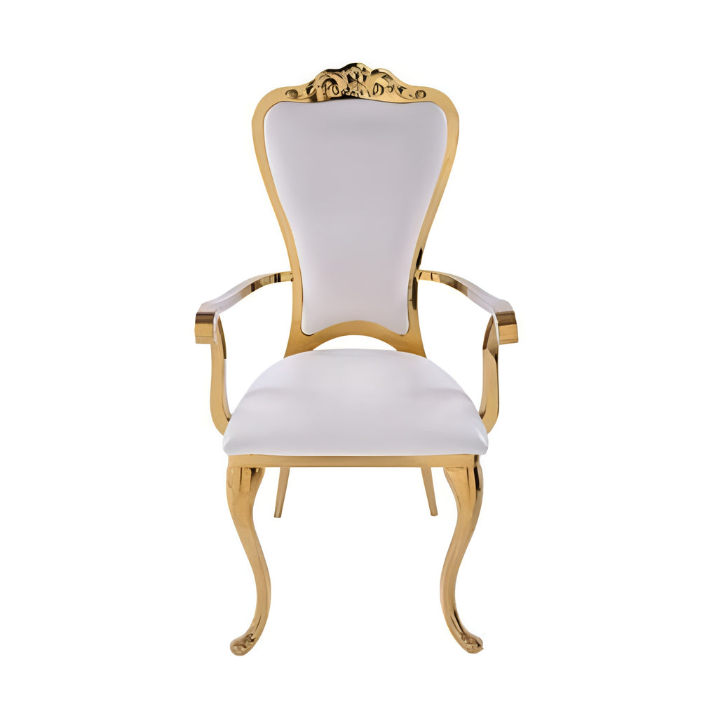 Lixra Elegant Leather Dining Chairs Set For 4