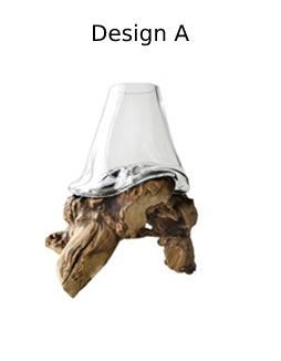 lixra Exquisite Hydroponic Wooden Bonsai Vase