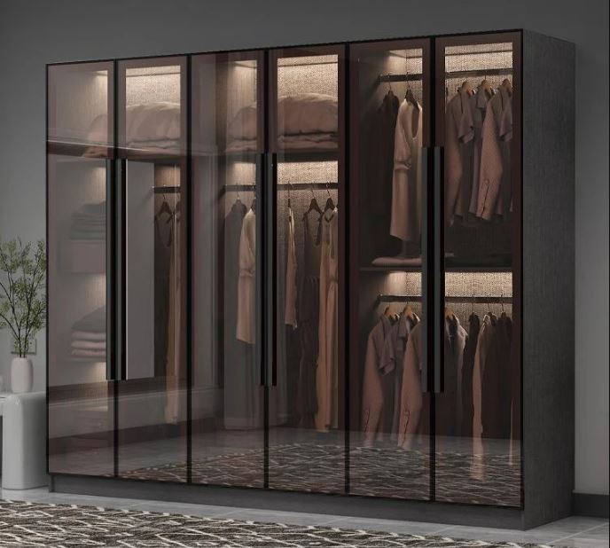 Lixra Ingenious Luxury Glass Door Wardrobe