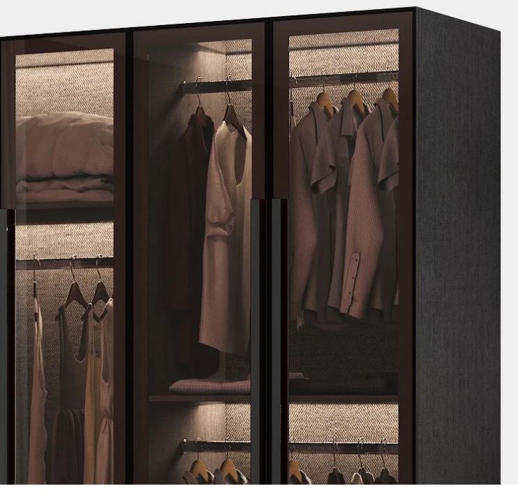 Lixra Ingenious Luxury Glass Door Wardrobe