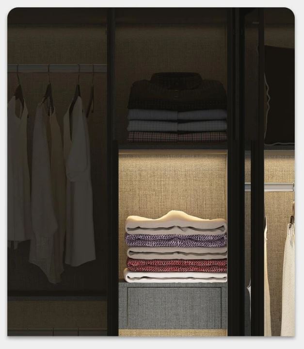 Lixra Ingenious Luxury Glass Door Wardrobe