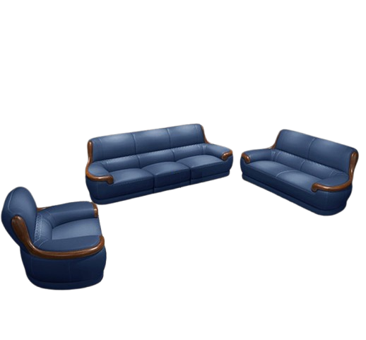 Lixra Leather Upholstered Indoor Wooden Sofa Set