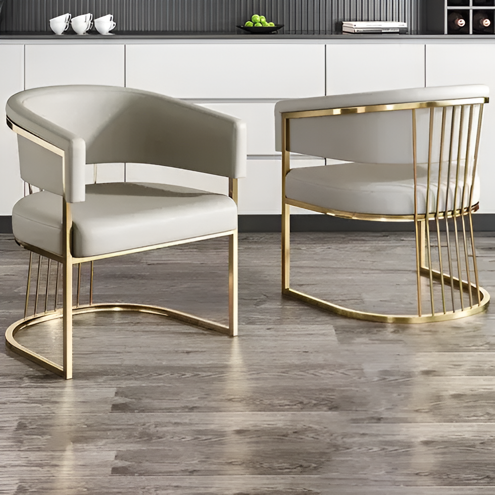 Lixra Magnificent 4-Piece Leather Dining Chairs