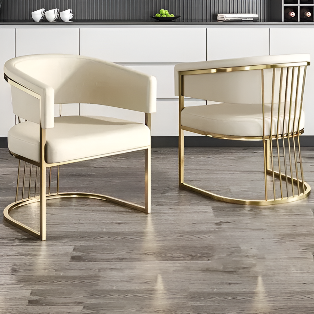 Lixra Magnificent 4-Piece Leather Dining Chairs