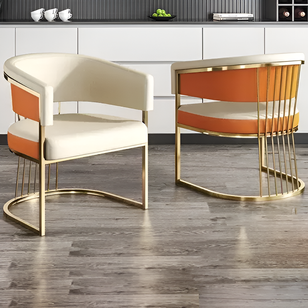 Lixra Magnificent 4-Piece Leather Dining Chairs