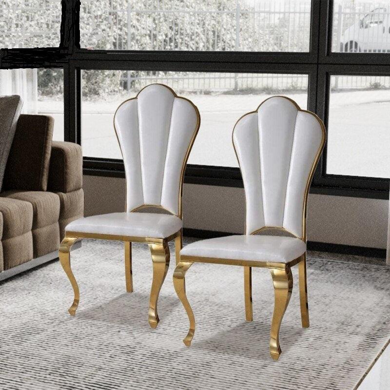 Lixra Mid Century Style 2 Pcs Steel Dining Chair