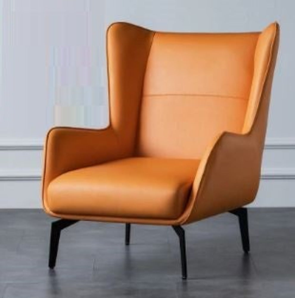 lixra Modern Aesthetic Leisure Accent Chair
