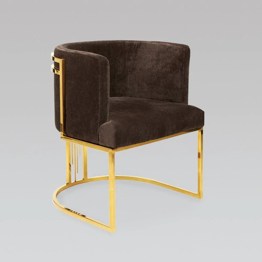 lixra Modern Velvet Fabric Accent Chairs Set