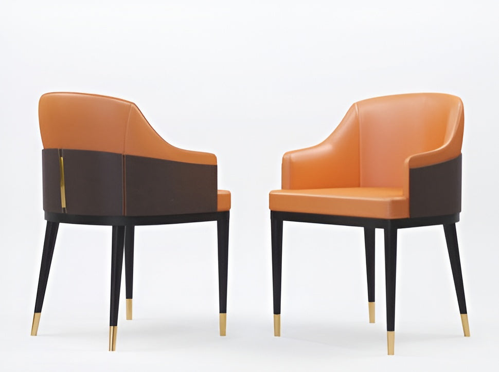 Lixra Ultra Modern Leather Dining Chairs