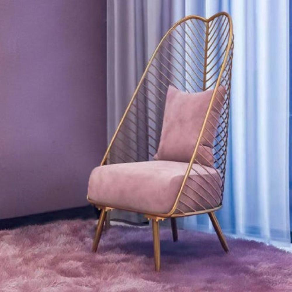 Lixra Velvet Fabric Accent Chair Set Of 2