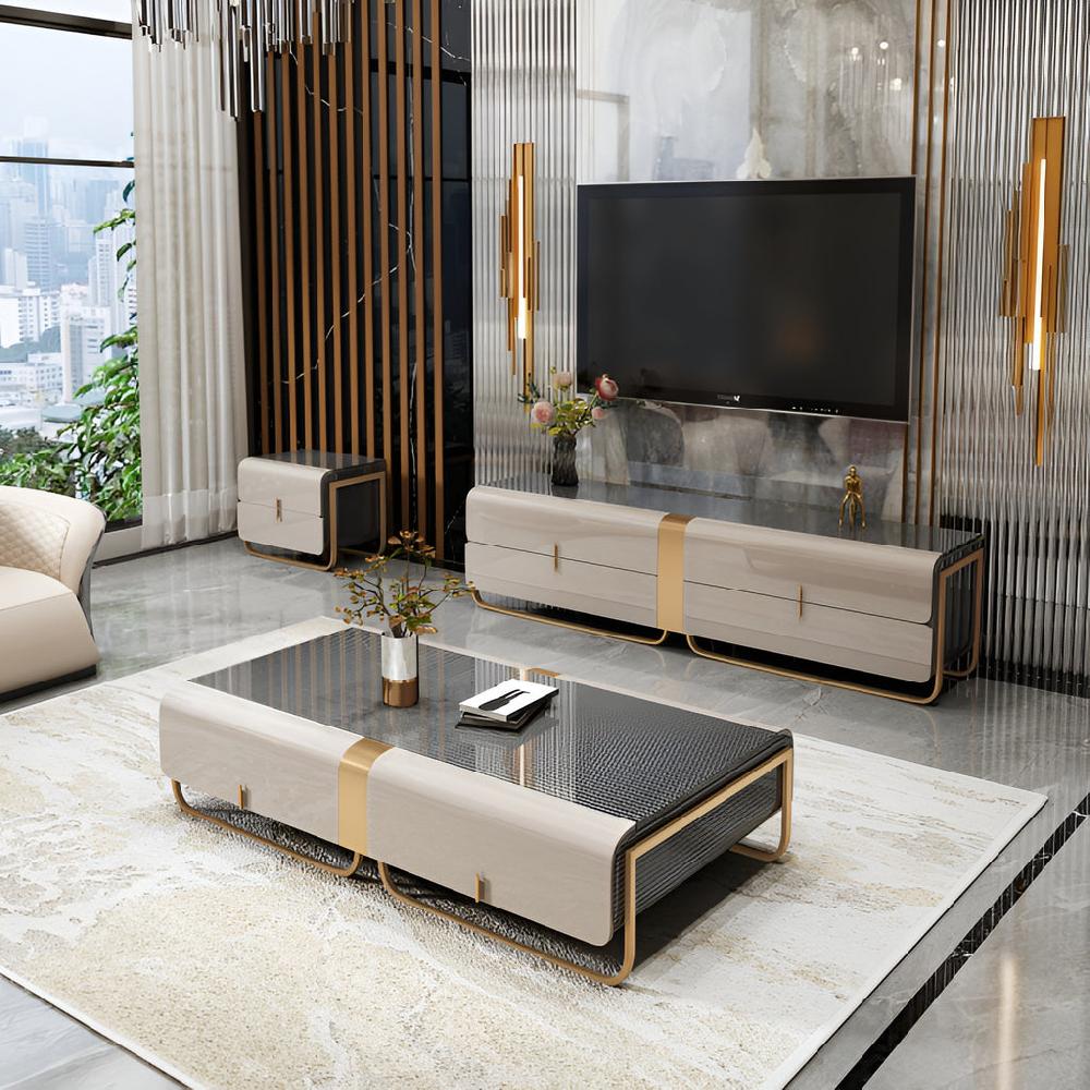 Lixra Modern Luxury Coffee Table Set With TV Stand And Side Table