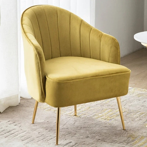 Lixra Splendid Fabric Accent Chairs With Metal Legs