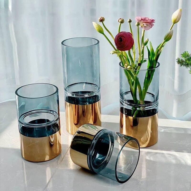 Lixra Transparent Hydroponic Innovative Flower Vase