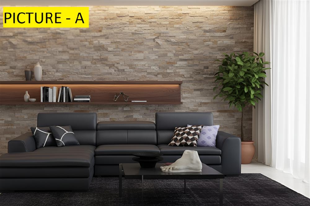 Lixra Ultimate Ultramodern Indoor Style Leather Sectional Sofa Set