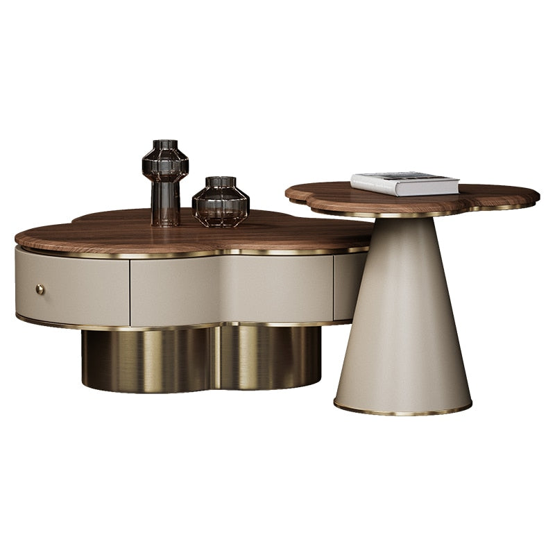 Lixra Wooden Luxurious Coffee Table With Side Table