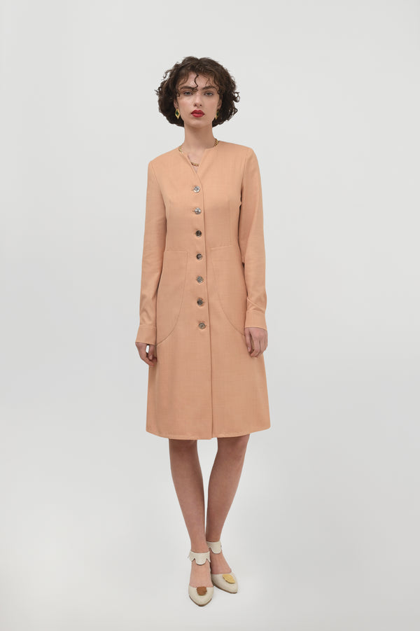 Liya A-line Dress