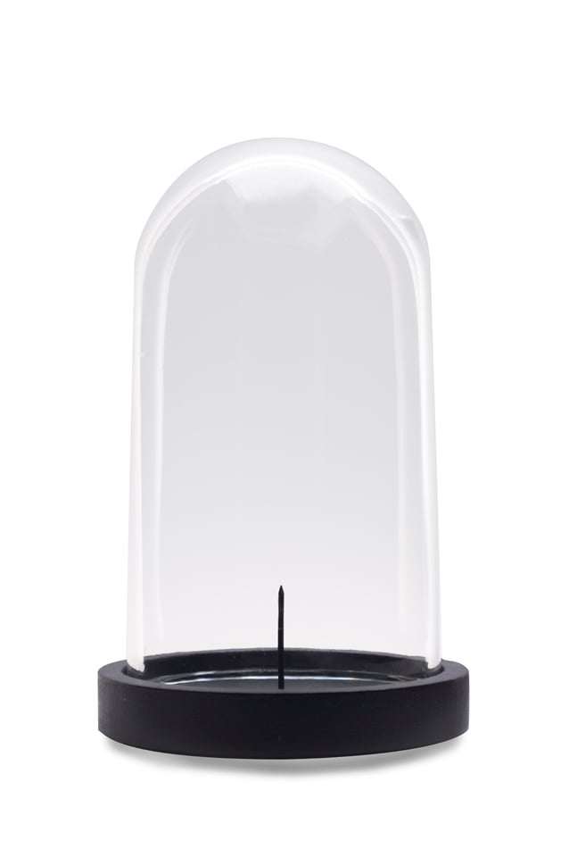 liza witte Glass Dome