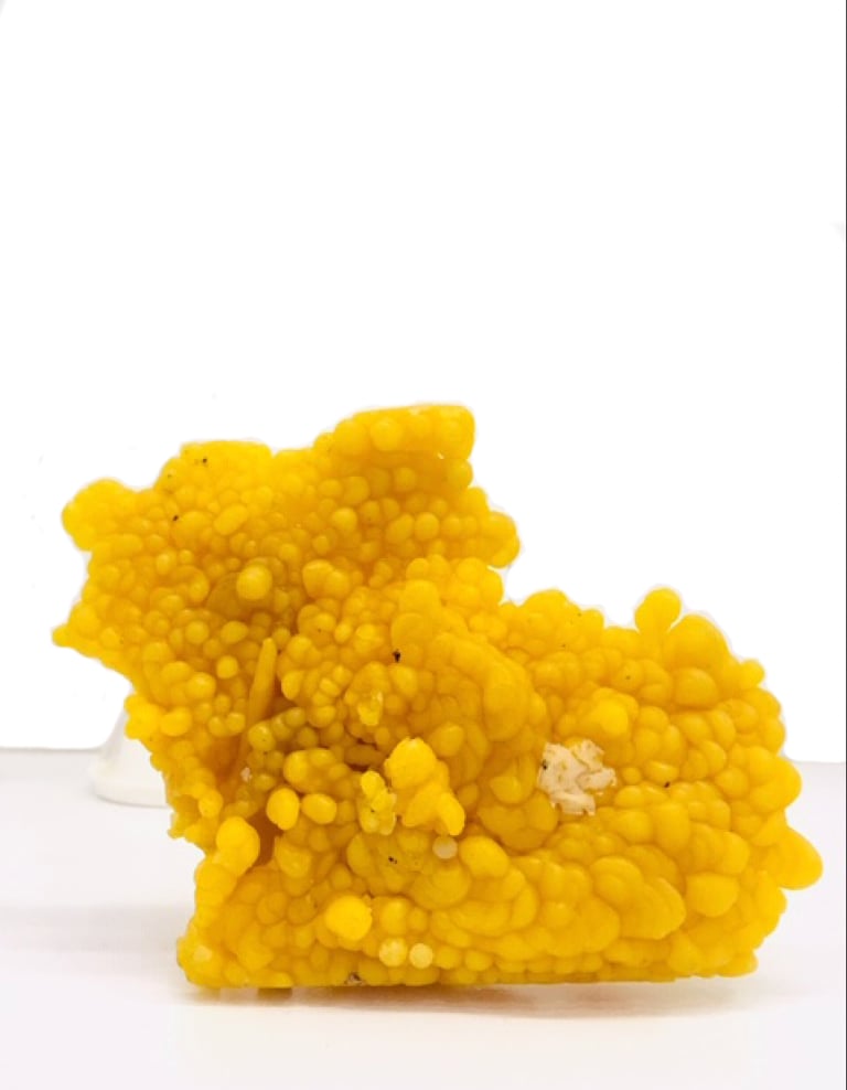 Liza Witte New - Hand Saver Balm For Hard Workers