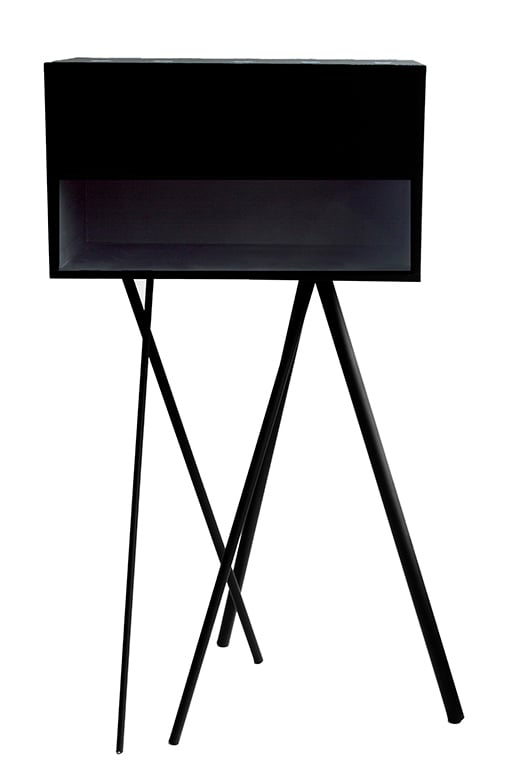 liza witte walking cabinet