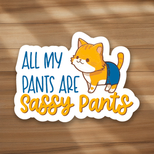 Lnz Custom Design All My Pants Are Sassy Pants