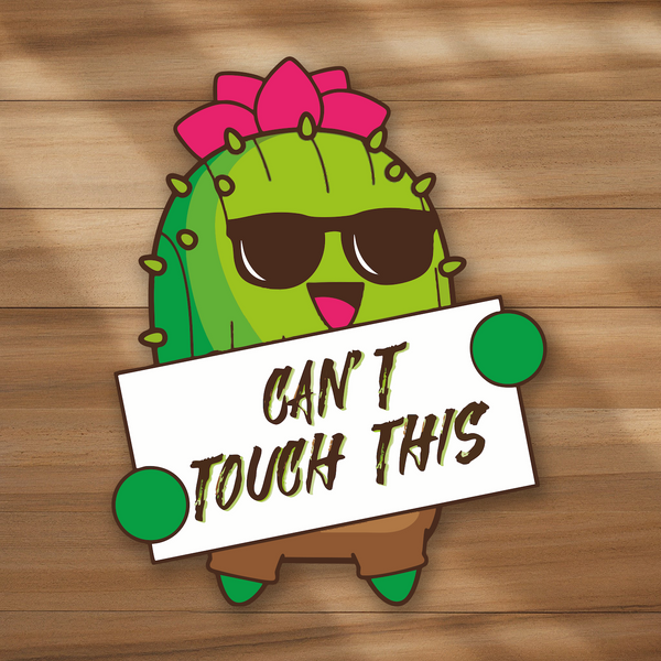 Lnz Custom Design Can't Touch This