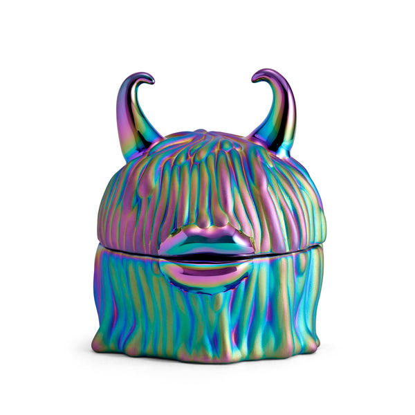 l'objet Haas Disco Lynda Box + Plates (Set of 4) - Limited Edition of 300