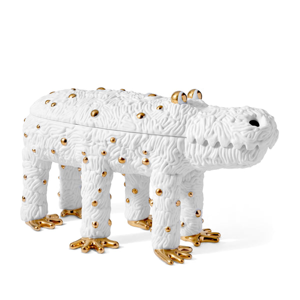 l'objet Haas Pedro the Croc Box - Limited Edition of 250