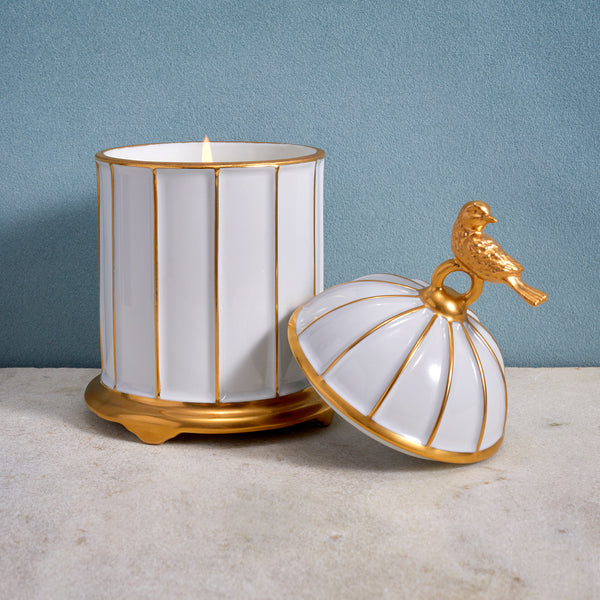 L'objet Birdcage Candle