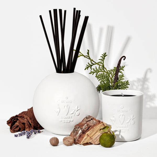L'objet Bois Sauvage Porcelain Diffuser Set